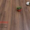 Sàn gỗ Hornitex 8mm 555