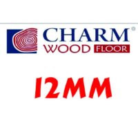 Charm 12mm cốt xanh