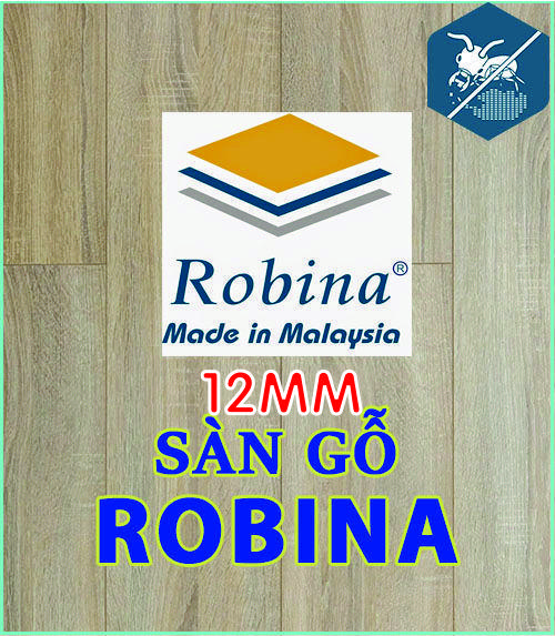 Robina 12mm bản lớn