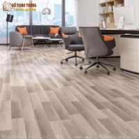 Camsan 8mm Cổ điển MS 555