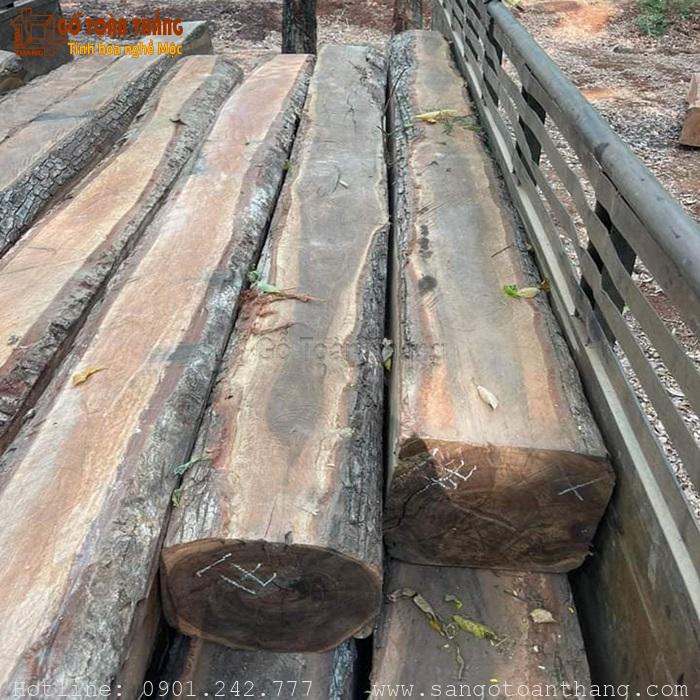 Cách phân biệt Gỗ Chiu Liu và Muồng đen bạn cần nắm 2 Gỗ Chiu Liu có thớ gỗ mịn và chắc