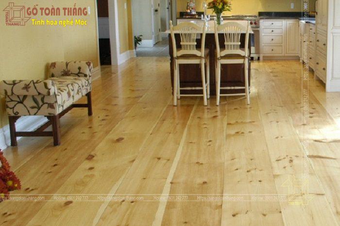 Sàn gỗ thông là một trong những sàn gỗ tự nhiên giá rẻ 