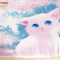 Giấy dán tường in theo yêu cầu 5