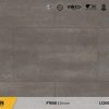 Sàn gỗ Floorpan 8mm FT005