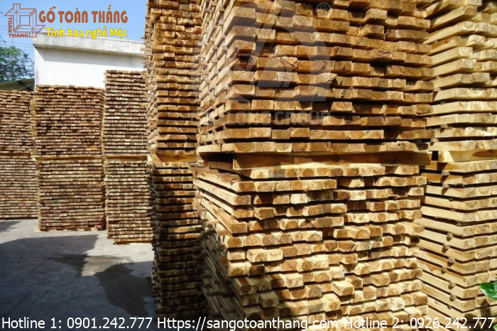 Gỗ Tràm là loại gỗ được sử dụng khá phổ biến hiện nay