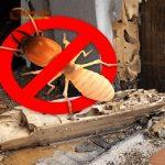 Gỗ Gõ Đỏ: Ưu điểm, ứng dụng tuyệt vời trong nội thất 19