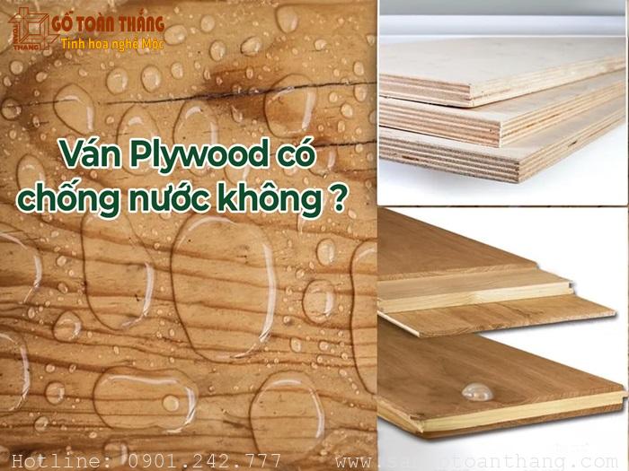 Có thể dùng gỗ Plywood mà không cần suy nghĩ về nước