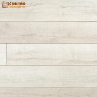 Sàn gỗ Aquaguard 479