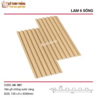 Lam 6 sóng than tre Kosmos 6S-801 5