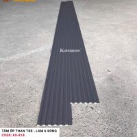 Lam 6 sóng than tre Kosmos 6S-818 4