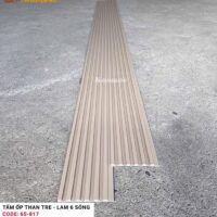 Lam 6 sóng than tre Kosmos 6S-817 4