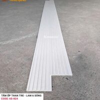 Lam 6 sóng than tre Kosmos 6S-824 4