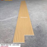 Lam 6 sóng than tre Kosmos 6S-801 4