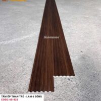 Lam 6 sóng than tre Kosmos 6S-825 4