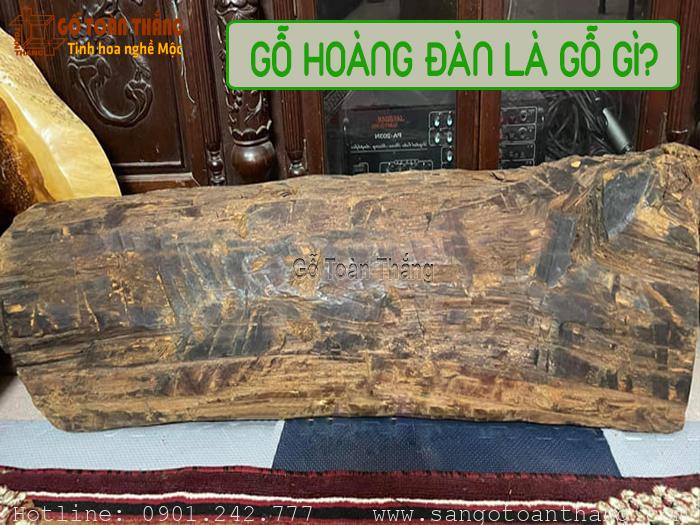 Gỗ Hoàng Đàn thuộc dòng gỗ hiếm tại Việt Nam