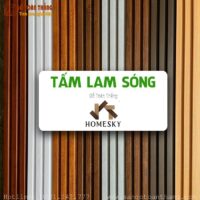 Lam sóng Homesky