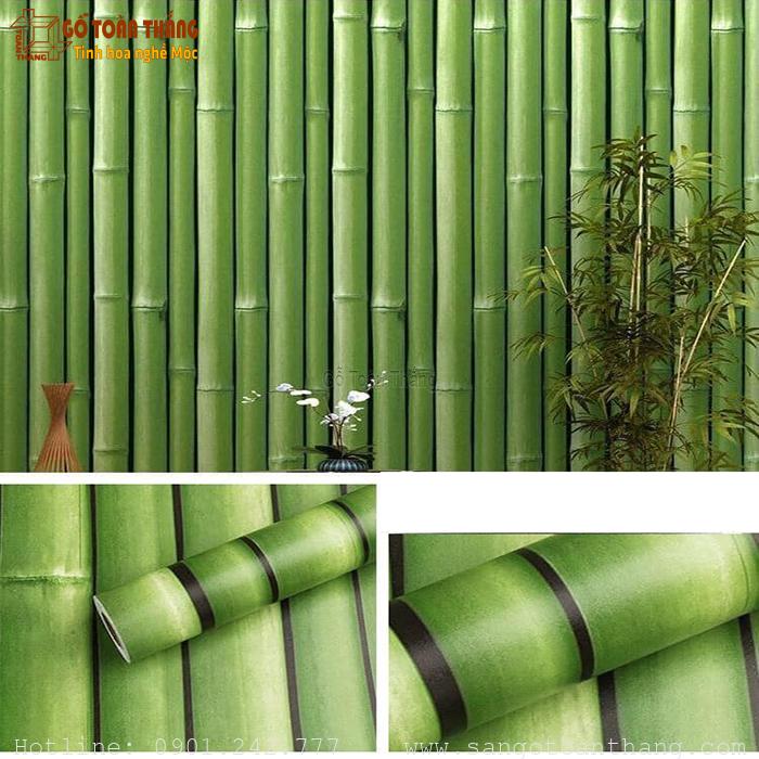 Decal dán tường Cây tre xanh 1 Decal dán tường Cây tre xanh