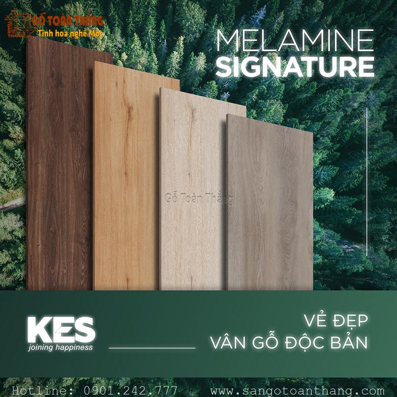 Sàn gỗ công nghiệp KES thân thiện với môi trường Sàn gỗ công nghiệp KES thân thiện với môi trường