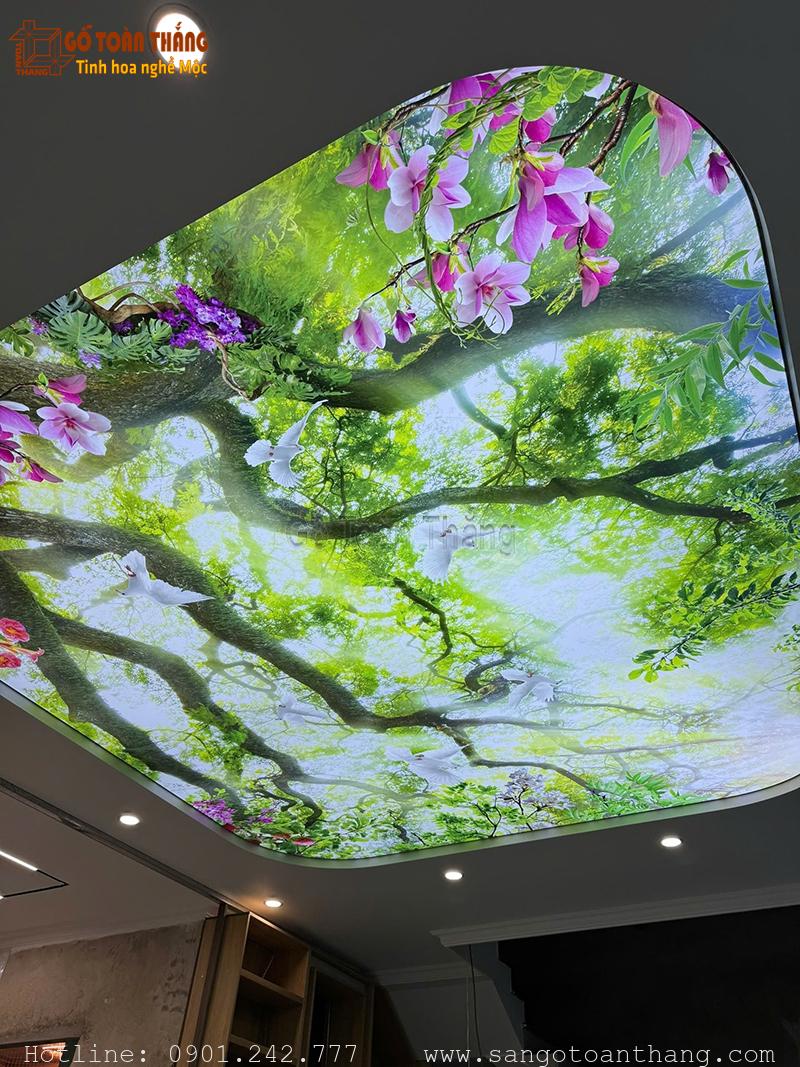 Mẫu Trần xuyên sáng đẹp 41 Mẫu Trần xuyên sáng đẹp 41