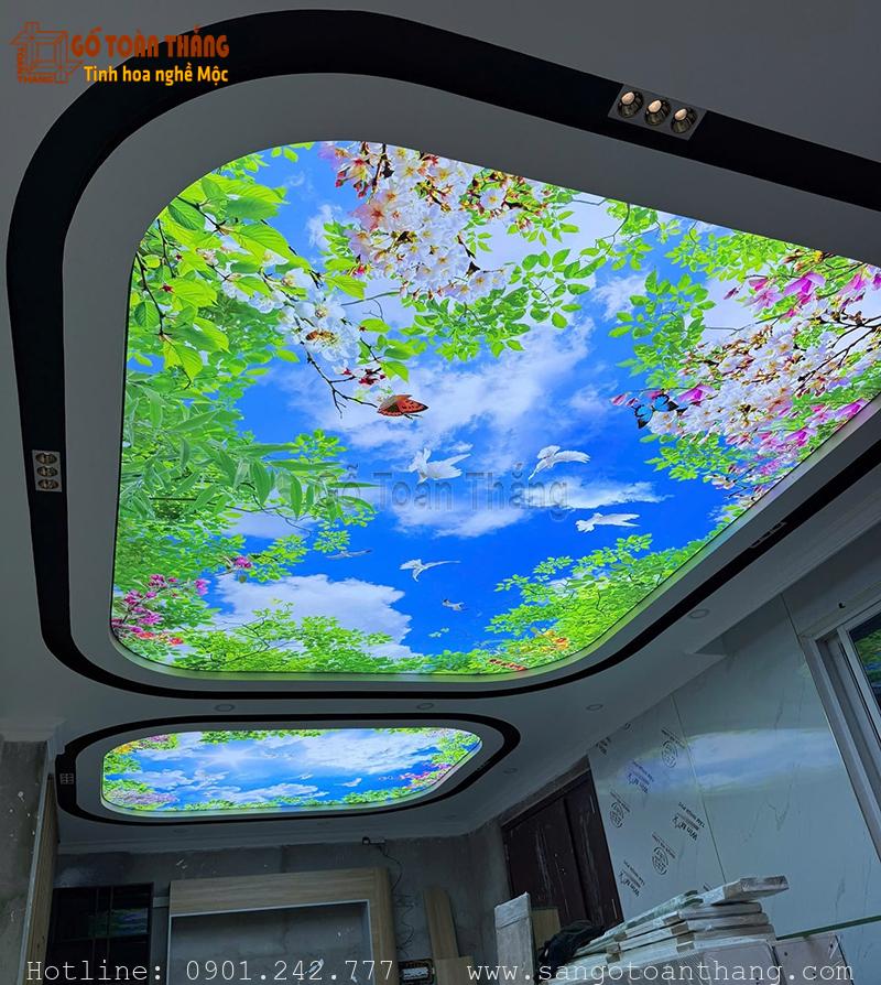 Trần căng xuyên sáng bầu trời 1 Trần căng xuyên sáng bầu trời