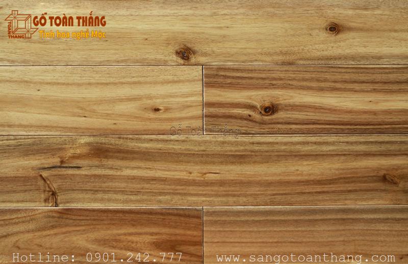 Sàn gỗ Tràm làm từ cây tràm bông vàng già tuổi Sàn gỗ Tràm làm từ cây tràm bông vàng già tuổi