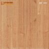 Sàn gỗ Thairoyal 8mm 10640