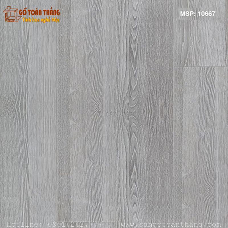 Sàn gỗ Thairoyal 8mm 10667 1 Sàn gỗ Thairoyal 8mm 10667